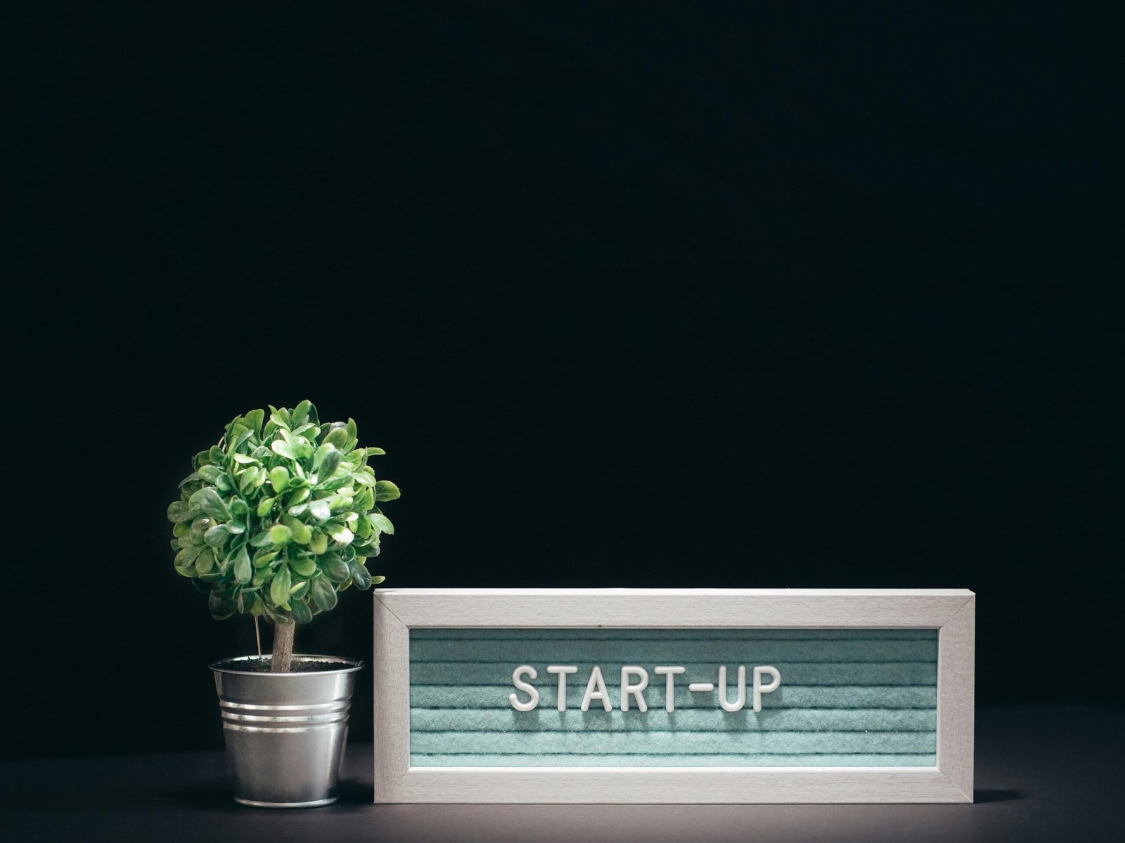 Capital-investissement
